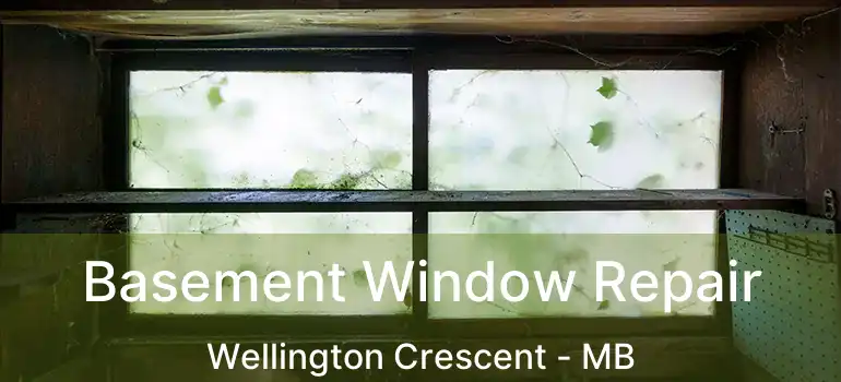  Basement Window Repair Wellington Crescent - MB