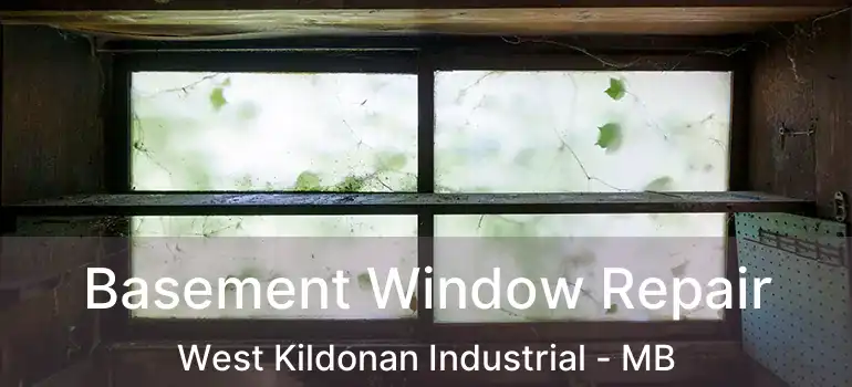  Basement Window Repair West Kildonan Industrial - MB