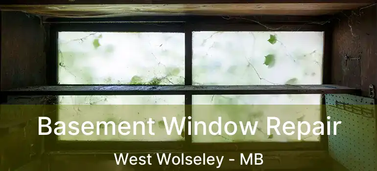  Basement Window Repair West Wolseley - MB