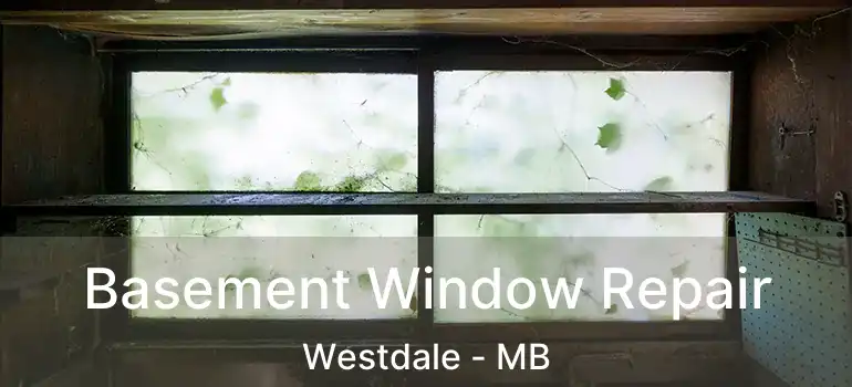  Basement Window Repair Westdale - MB