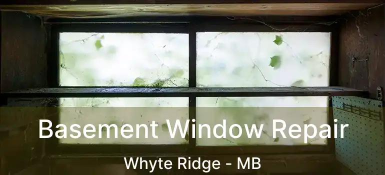  Basement Window Repair Whyte Ridge - MB