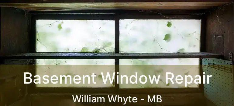  Basement Window Repair William Whyte - MB
