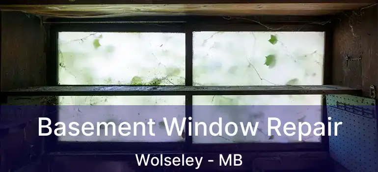  Basement Window Repair Wolseley - MB