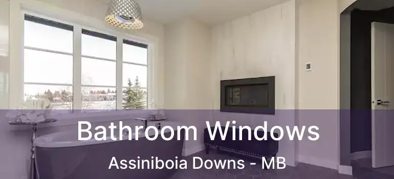  Bathroom Windows Assiniboia Downs - MB