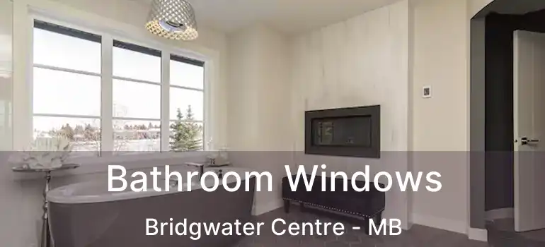  Bathroom Windows Bridgwater Centre - MB