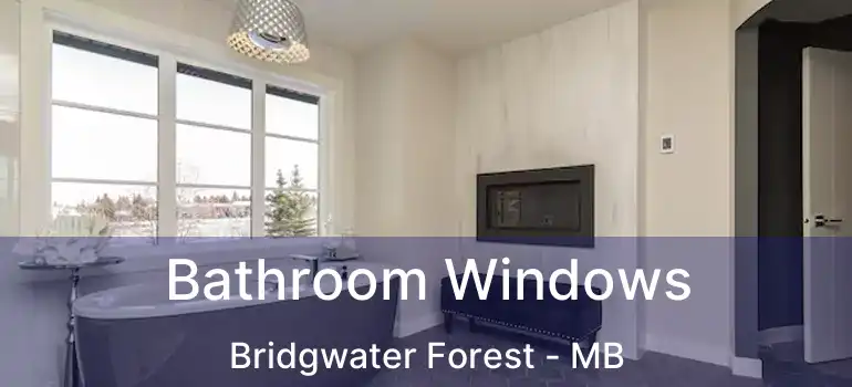  Bathroom Windows Bridgwater Forest - MB