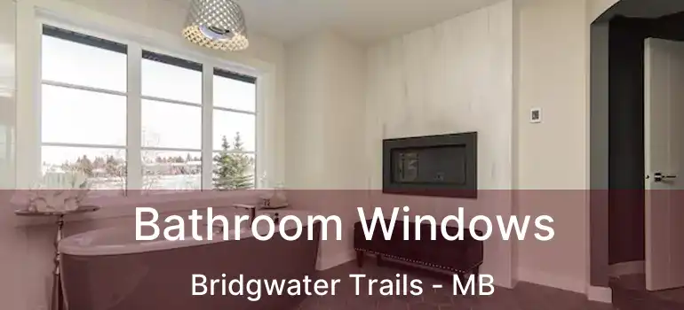  Bathroom Windows Bridgwater Trails - MB