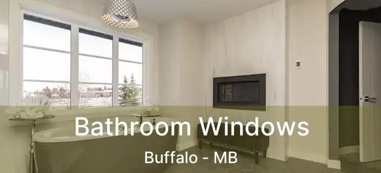  Bathroom Windows Buffalo - MB