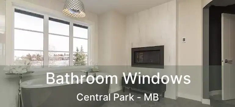  Bathroom Windows Central Park - MB