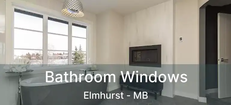  Bathroom Windows Elmhurst - MB