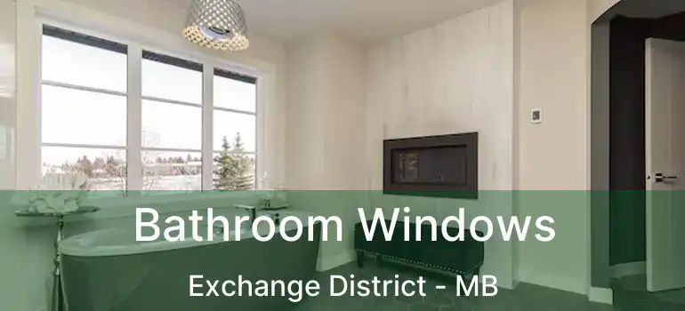  Bathroom Windows Exchange District - MB