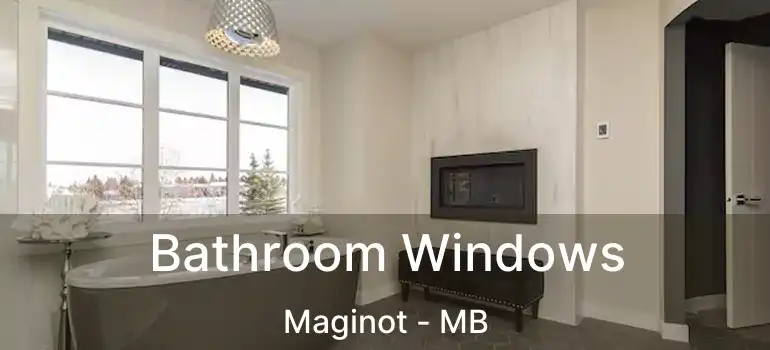  Bathroom Windows Maginot - MB