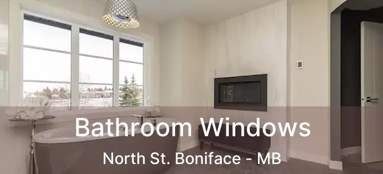  Bathroom Windows North St. Boniface - MB