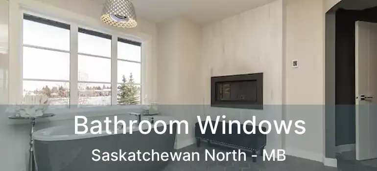  Bathroom Windows Saskatchewan North - MB