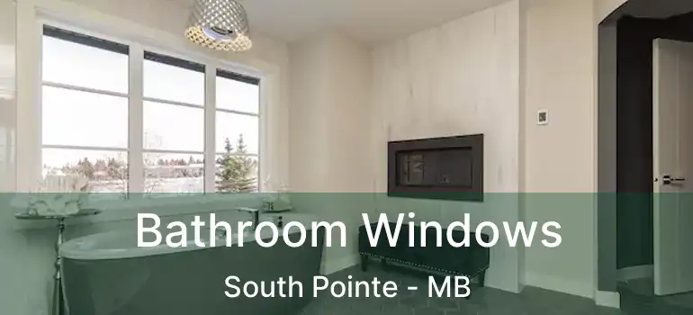  Bathroom Windows South Pointe - MB
