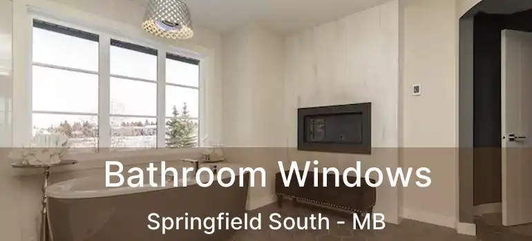  Bathroom Windows Springfield South - MB