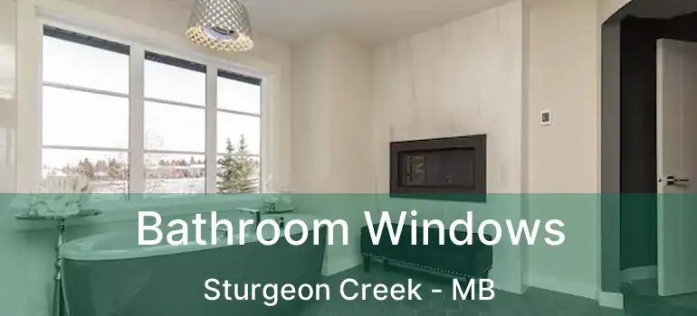  Bathroom Windows Sturgeon Creek - MB