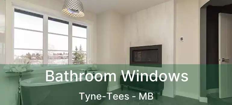 Bathroom Windows Tyne-Tees - MB