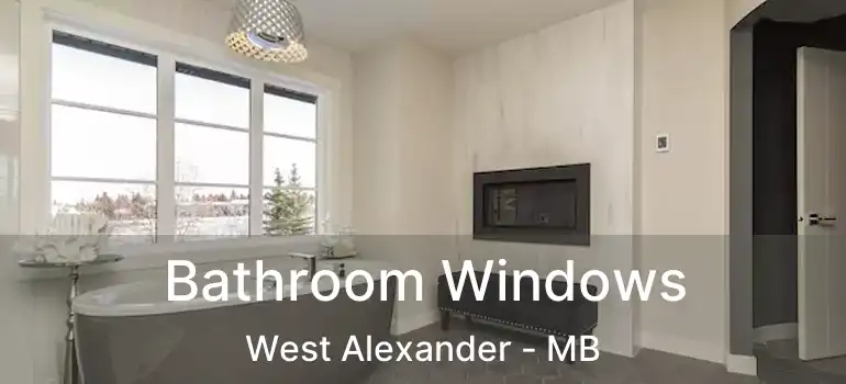  Bathroom Windows West Alexander - MB