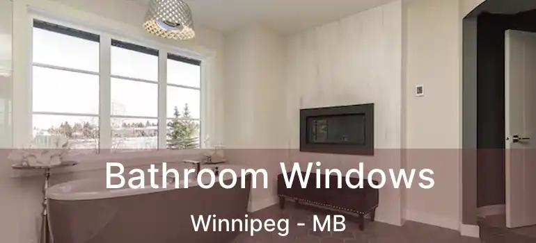  Bathroom Windows Winnipeg - MB