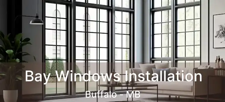 Bay Windows Installation Buffalo - MB