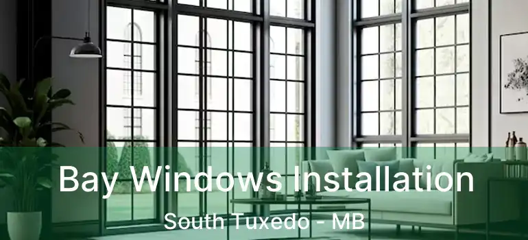  Bay Windows Installation South Tuxedo - MB