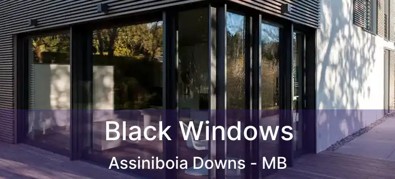  Black Windows Assiniboia Downs - MB