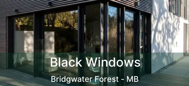  Black Windows Bridgwater Forest - MB