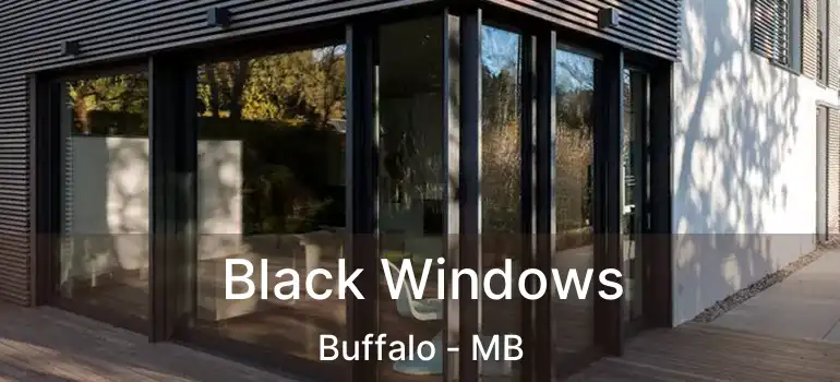  Black Windows Buffalo - MB