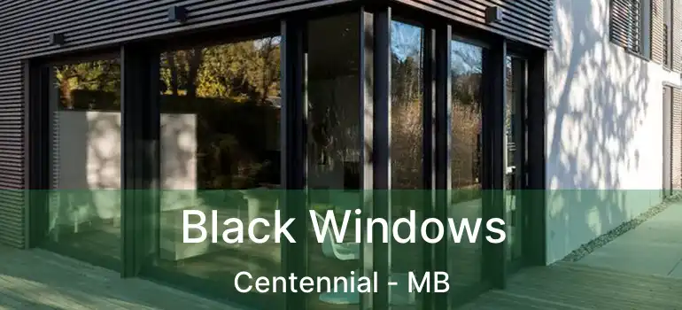  Black Windows Centennial - MB