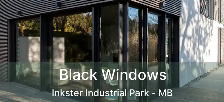  Black Windows Inkster Industrial Park - MB