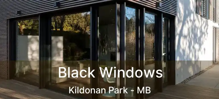  Black Windows Kildonan Park - MB