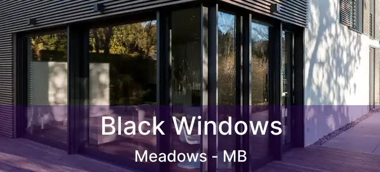  Black Windows Meadows - MB