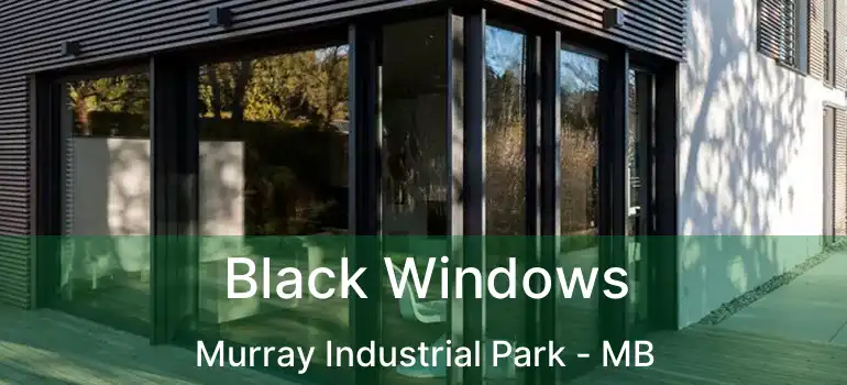  Black Windows Murray Industrial Park - MB