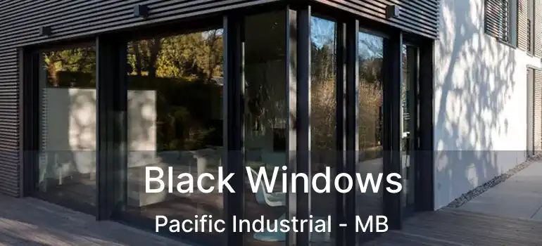  Black Windows Pacific Industrial - MB