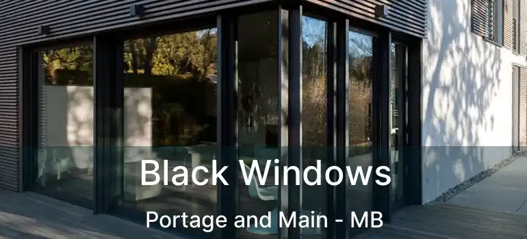  Black Windows Portage and Main - MB