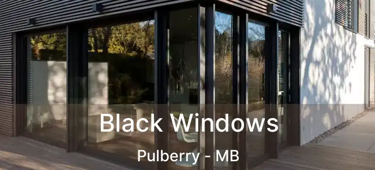  Black Windows Pulberry - MB