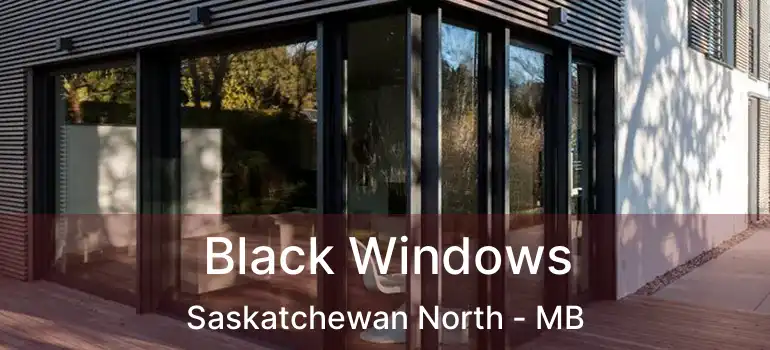  Black Windows Saskatchewan North - MB