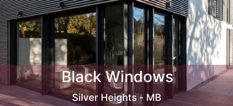  Black Windows Silver Heights - MB