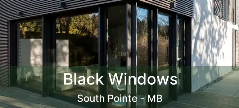  Black Windows South Pointe - MB