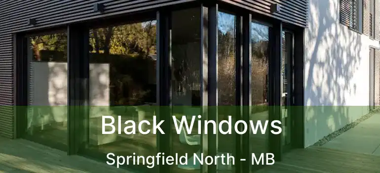  Black Windows Springfield North - MB