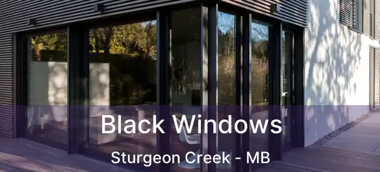 Black Windows Sturgeon Creek - MB