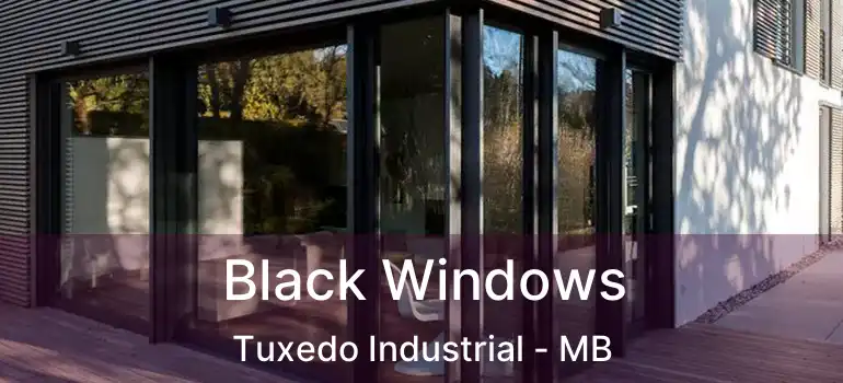  Black Windows Tuxedo Industrial - MB