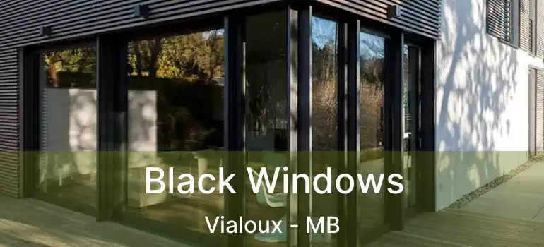 Black Windows Vialoux - MB