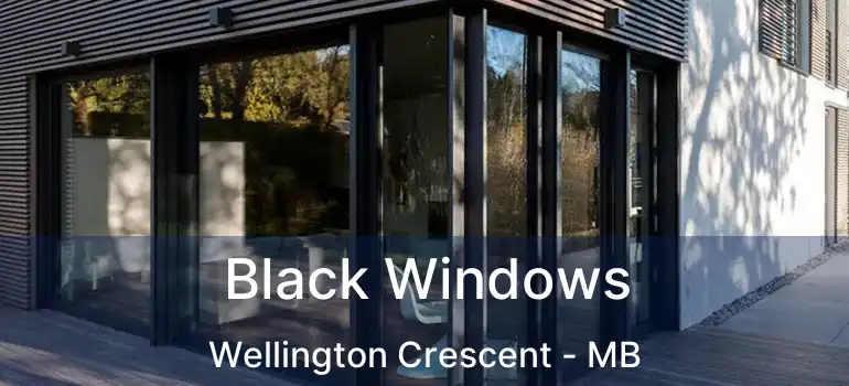  Black Windows Wellington Crescent - MB