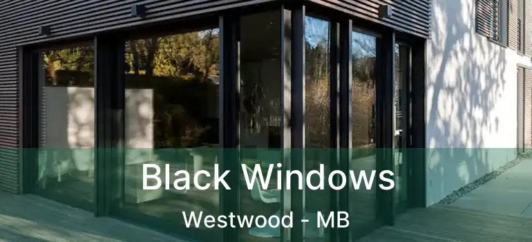  Black Windows Westwood - MB