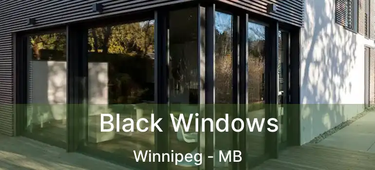  Black Windows Winnipeg - MB