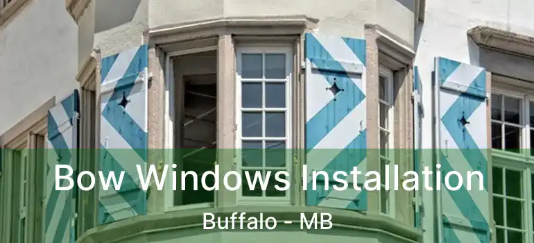  Bow Windows Installation Buffalo - MB