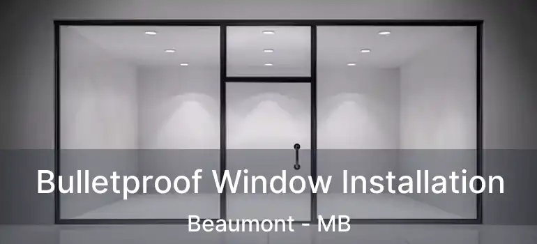  Bulletproof Window Installation Beaumont - MB