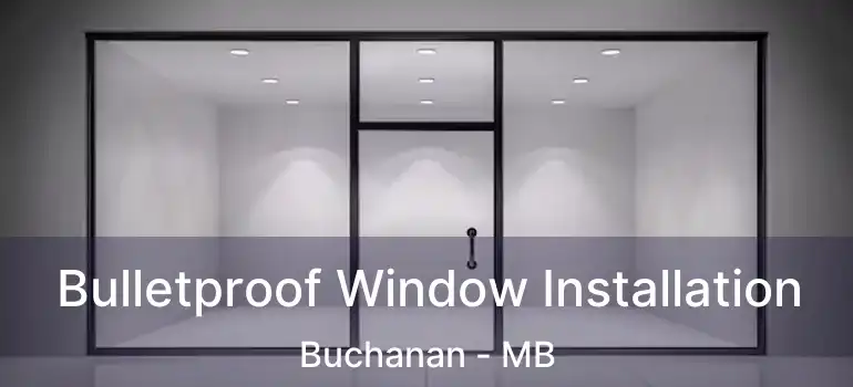  Bulletproof Window Installation Buchanan - MB